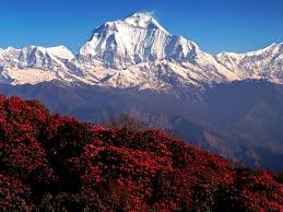 ghorepani