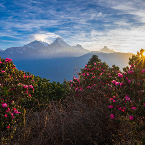 Ghorepani Poon Hill Trek — Poon Hill sunrise view