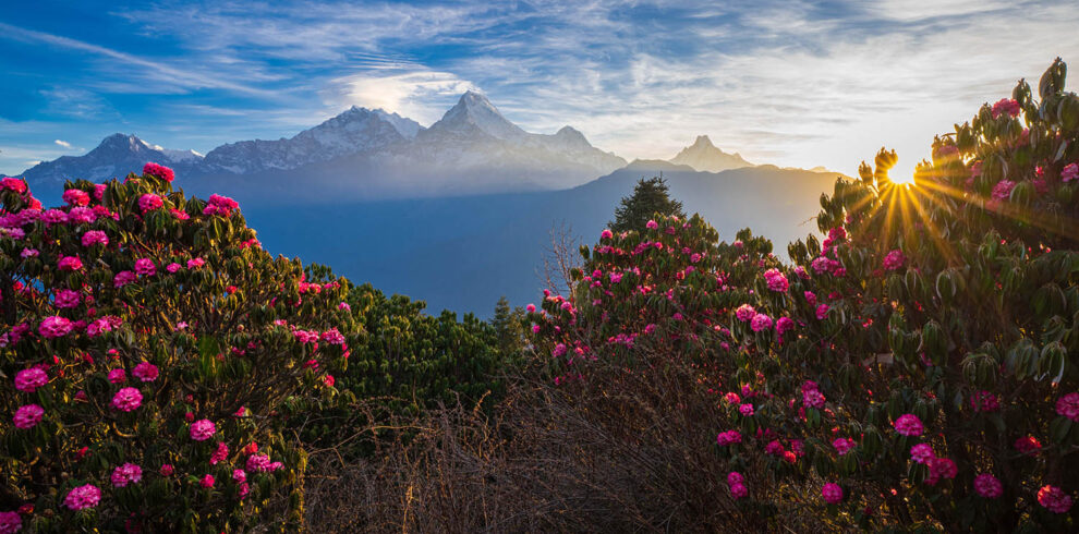 Ghorepani Poon Hill Trek — Poon Hill sunrise view