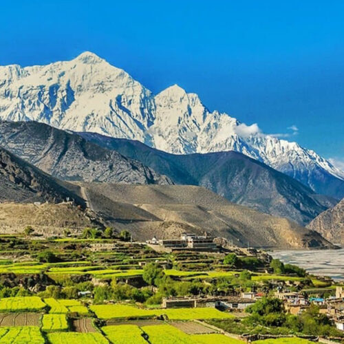 Jomsom Muktinath Trek