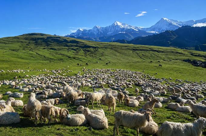 Easy Nepal Treks for Beginners and How to Prepare